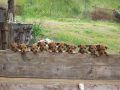 28_podborka_07-jpg